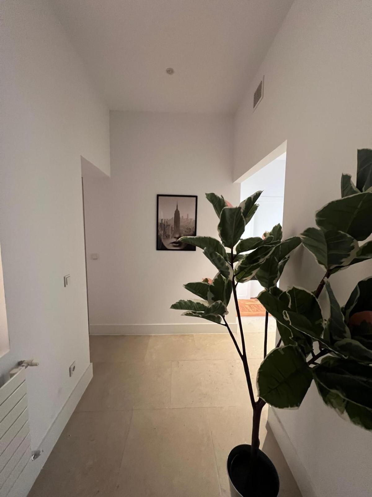 מדריד Private Rooms In Magdalena Street מראה חיצוני תמונה